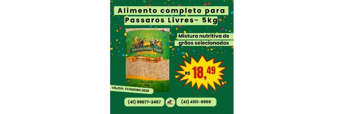 Alimento passaros