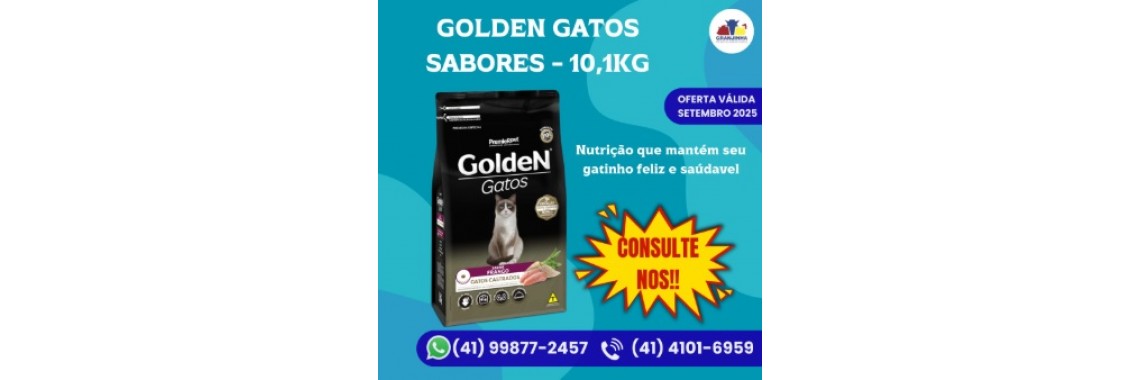 Golden gatos castrados